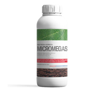 Micromegas (1Lt)