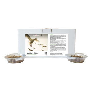 No More Birds Gel - Vaschetta